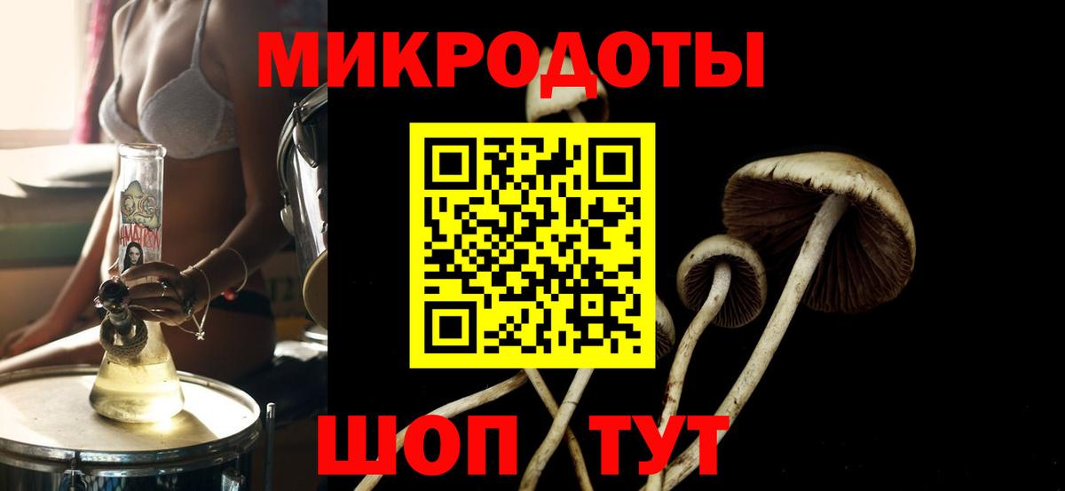 Псилоцибиновые грибы Psilocybine cubensis  Галлюциногенные грибы GOLDEN TEACHER  Вход с VPN  Корсаков 